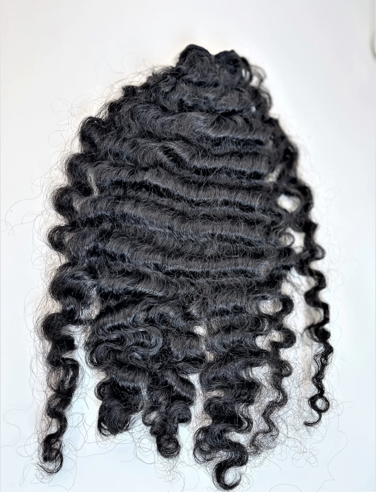 Burmese Curly Bundle Deal