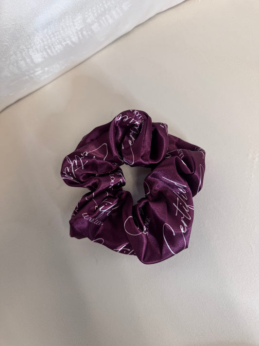 Hair Scrunchie