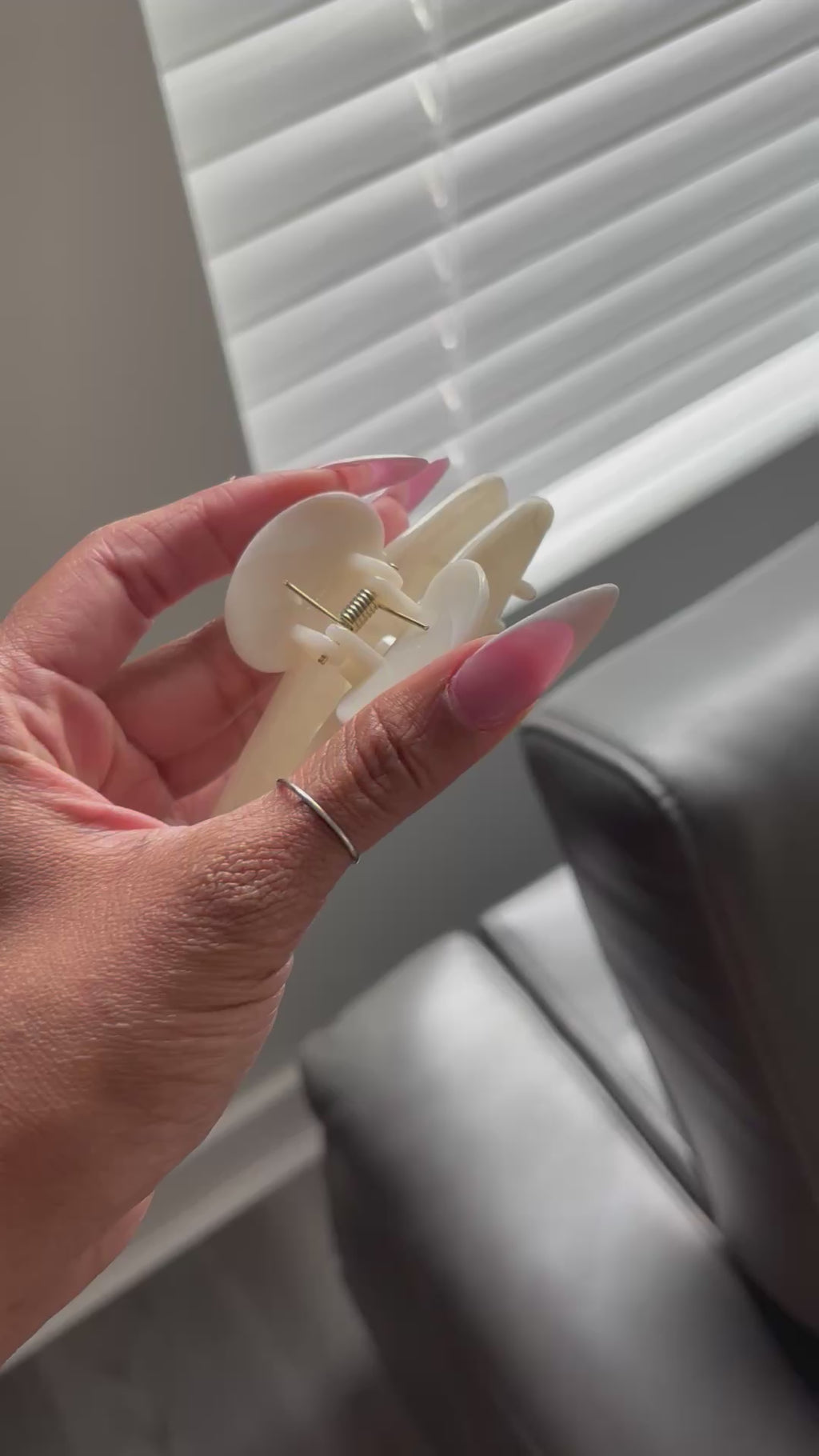 Claw Clip